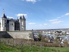 149 DOMAINE DE BLAIRE ET ENVIRONS MAINE ET LOIRE 2016 N0_000030